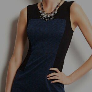 Ann Taylor Elegant Black and Blue Sleeveless Dress